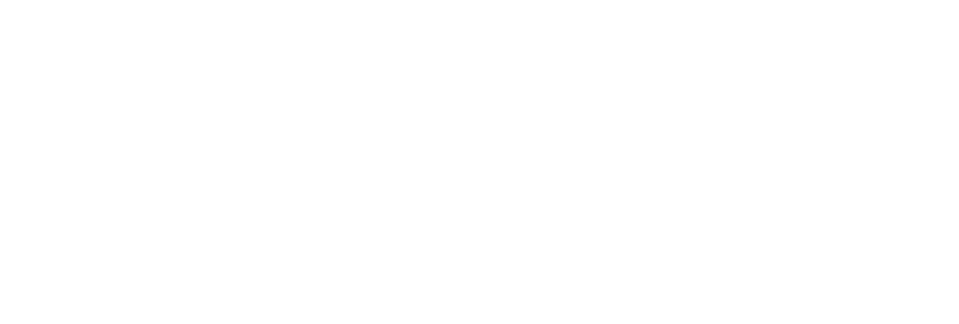 Silicon Plus — Computers, Parts, Performance
